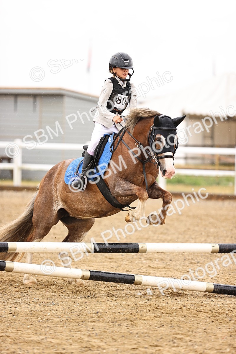 SBM_000183 - Class 2 - 50cm