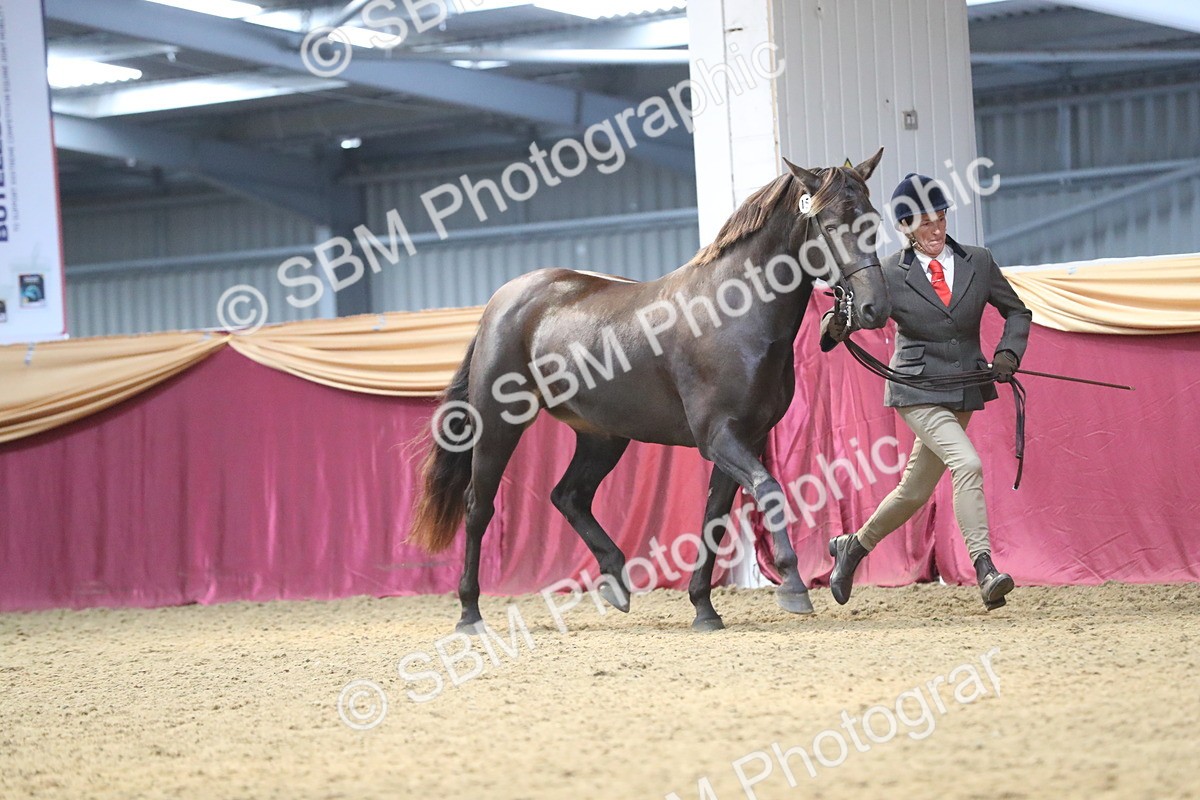 SBM_15152 - Class 501 M&M IH Supreme Final