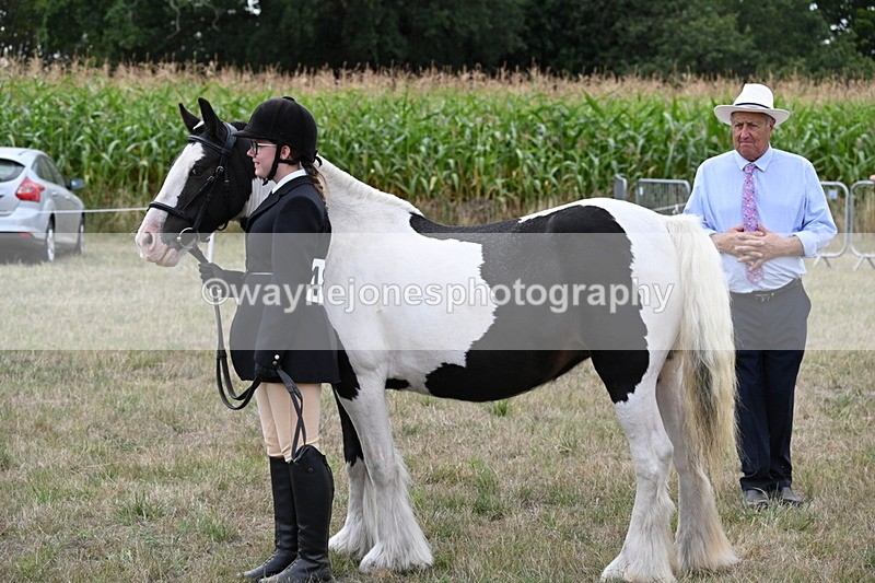 WJ6_5698 - Class 18 In-hand Coloured