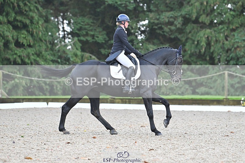 231019-104114-01923 - 102-BAGHEERA-Althea.Bleekman-DR