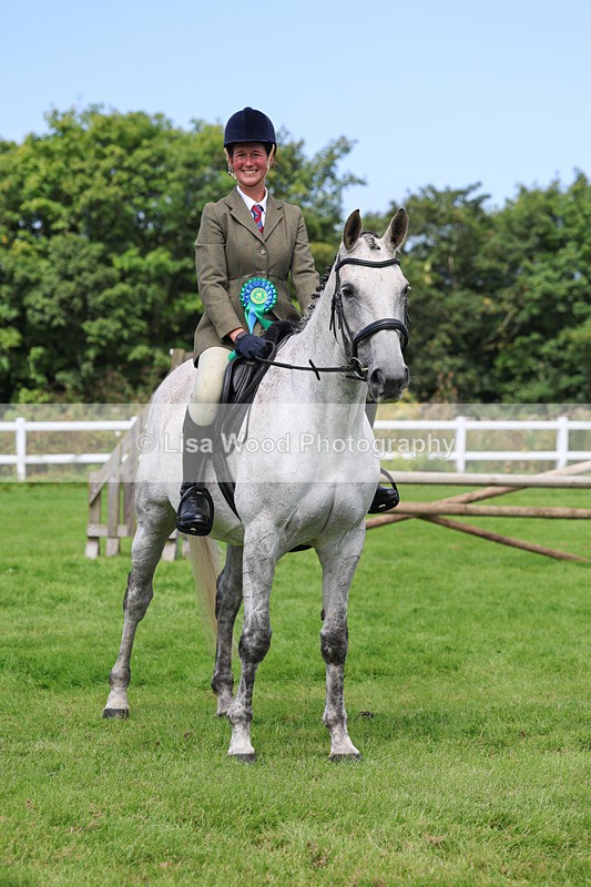 3E7A8827 - Class 5: Working Show Horse