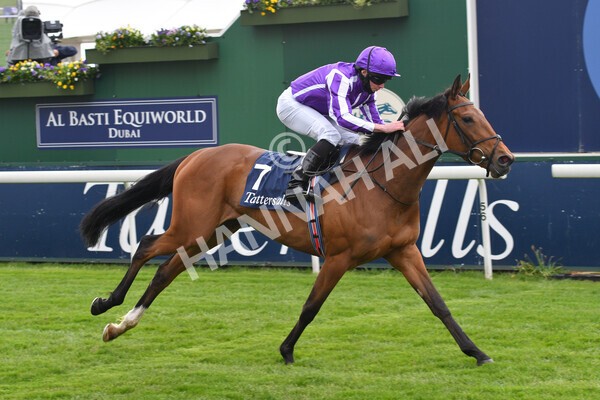 yr12052021r4-30 - Race 4 3.10pm Tattersalls Musidora Stakes