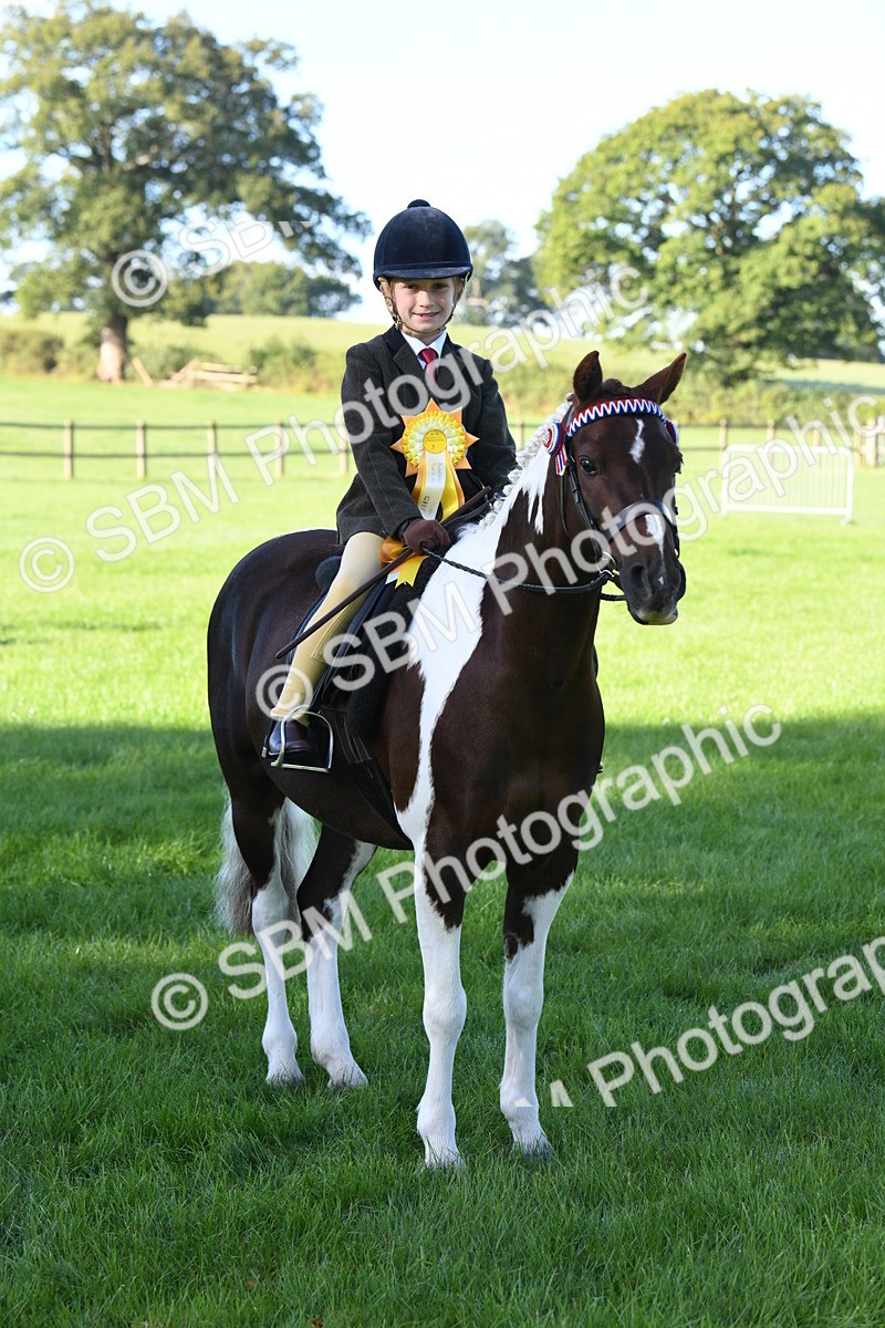 SBM_34104 - S16 - Condition & Turnout - Ridden