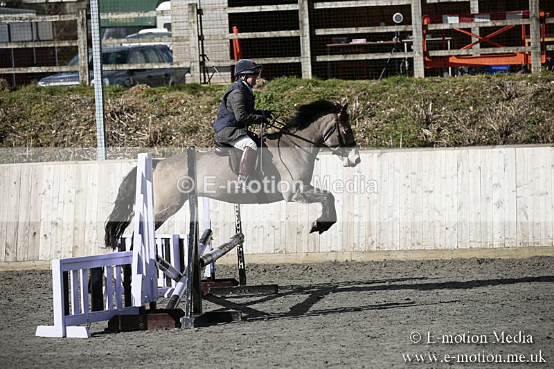 BVRC SJ 170319 44 - Bourne Valley Riding Club Showjumping 17/03/19