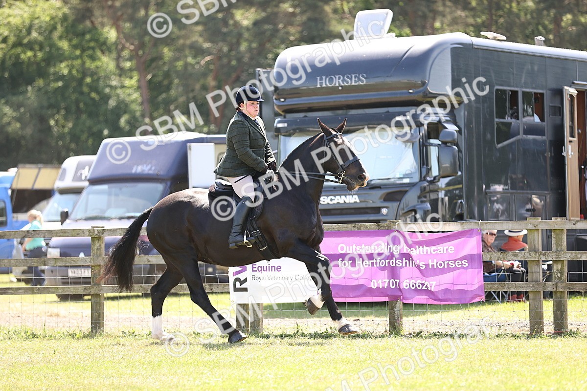 SBM_17837 - Class 81-83 - TSR Ridden Amateur of the Year - Horses