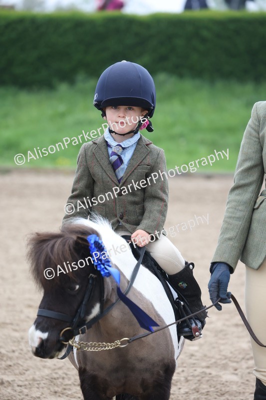 20260504-0133 - Class 9 - Lead Rein Pony