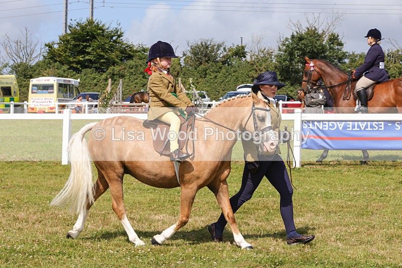 1X9A3709 - Class 29: Lead Rein SP/SHP