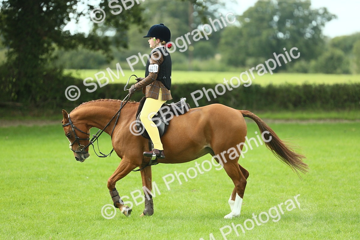 SBM_44654 - S31 - Working Hunter Pony