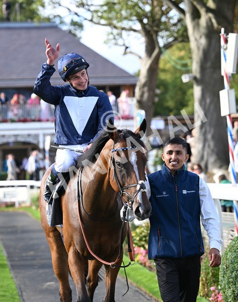 210825-259 Royal Velvet - Race 7 5.20pm British EBF Fillies' Handicap