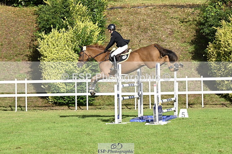 250831A-091017-09147 - Cls 34 Snr Foxhunter