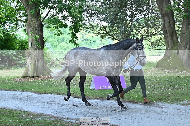 250521A-160640-00920 - C-268-Lucy.Stimson-RUSTINO