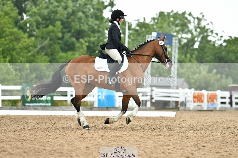 230708A-115220-02641 - Prelim 13