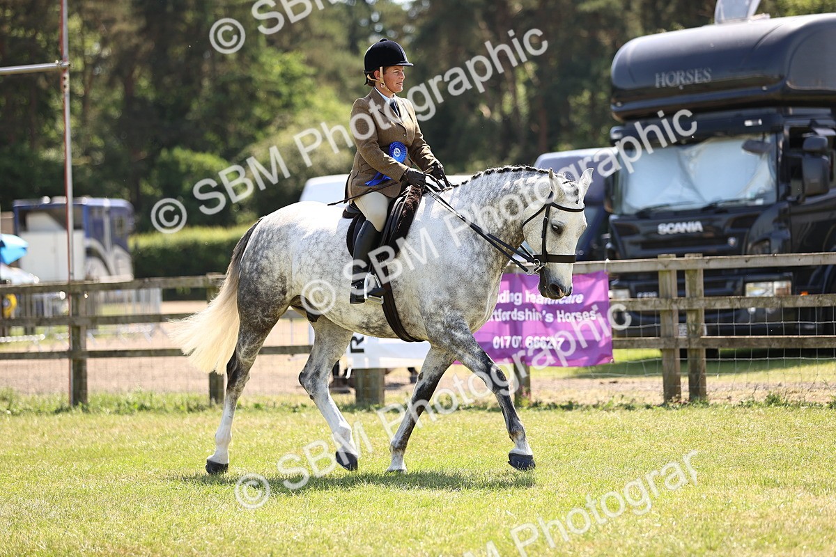 SBM_17799 - Class 81-83 - TSR Ridden Amateur of the Year - Horses
