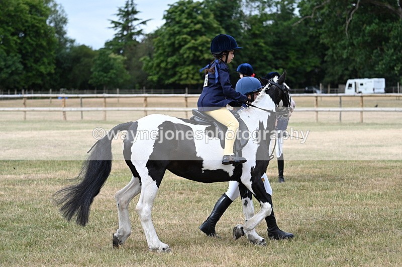 WJ7_9785 - Class 1 Lead Rein Pony
