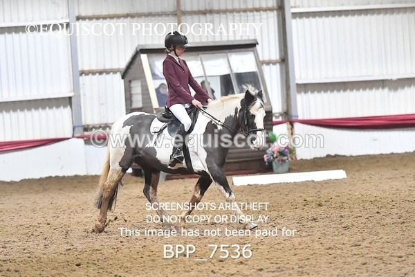 BPP_7536 - INTRO TEST 2