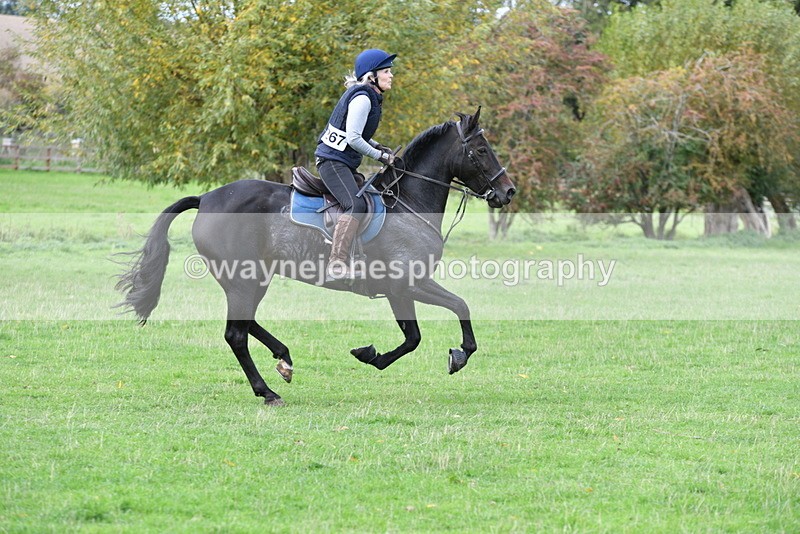 WJ5_0184 - Time 13:25 to 13:58