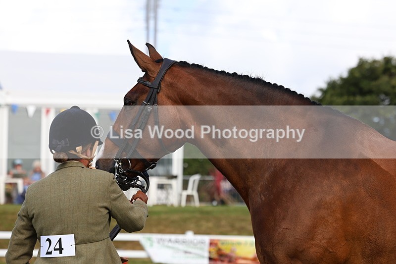 3E7A9504 - Class 4: Rising Star M/H Hunter