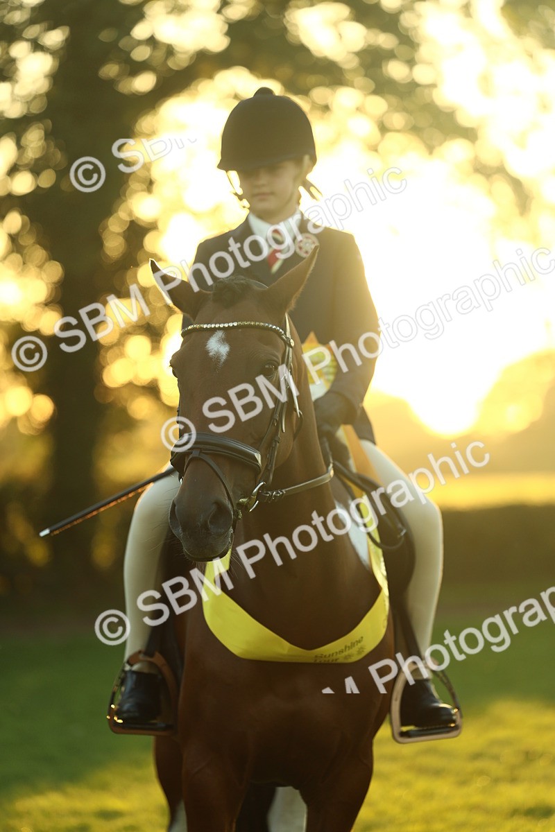 SBM_56658 - Fun & Versatile Supreme Championship