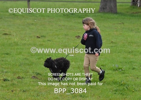 BPP_3084 - CLASS 8 SAT Senior Newcomers/ 1.10m Open