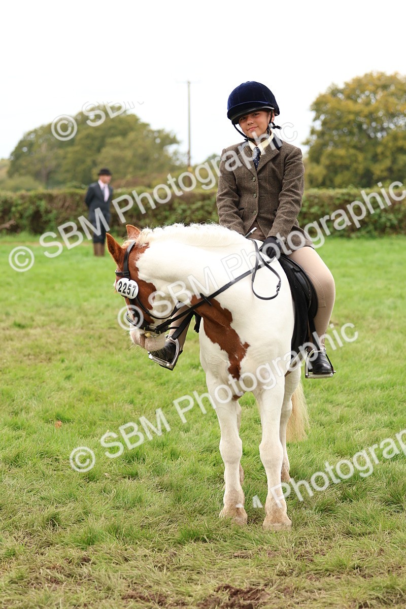 SBM_64568 - S58 - Coloured Pony Ridden