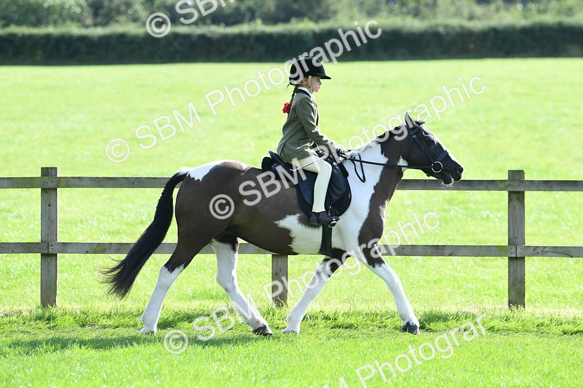 SBM_50274 - S21 - Novice & Newcomers 1st Ridden Pony