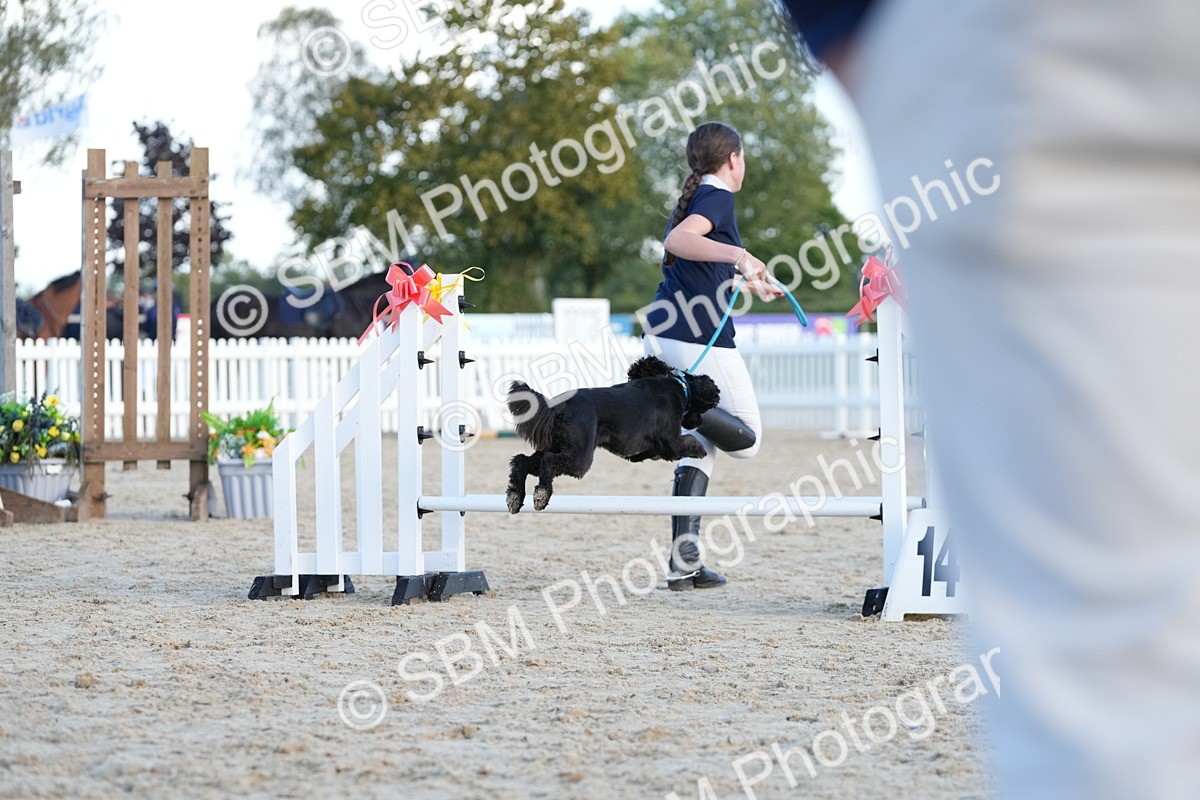 SBM_29070 - J43 - Horse & Hound Open 50cm