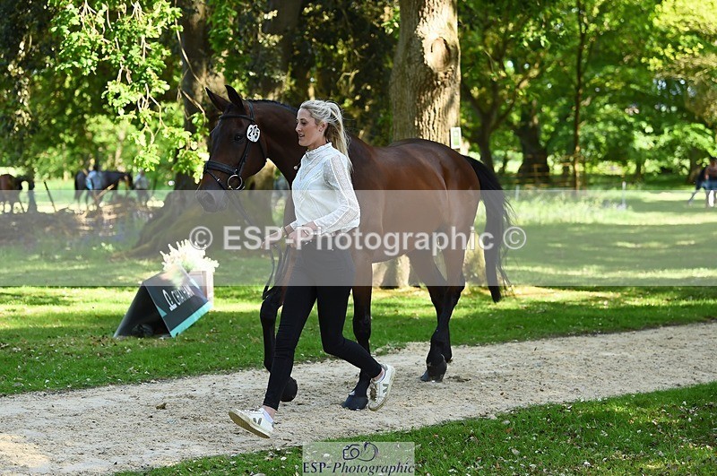 230524-155716-00579 - 205-ARTICUS-Maja_Hullah-WEDTrotUp+DR