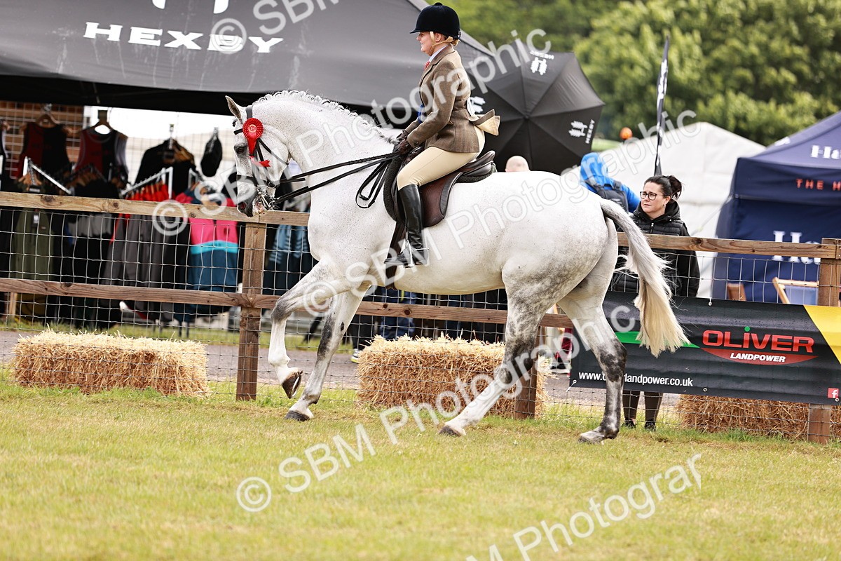 SBM_11596 - Class 81-84 - RIHS Ridden hunters Inc Ladies Hunter