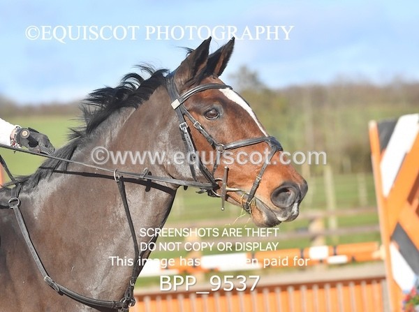 BPP_9537 - CLASS 6 90CM