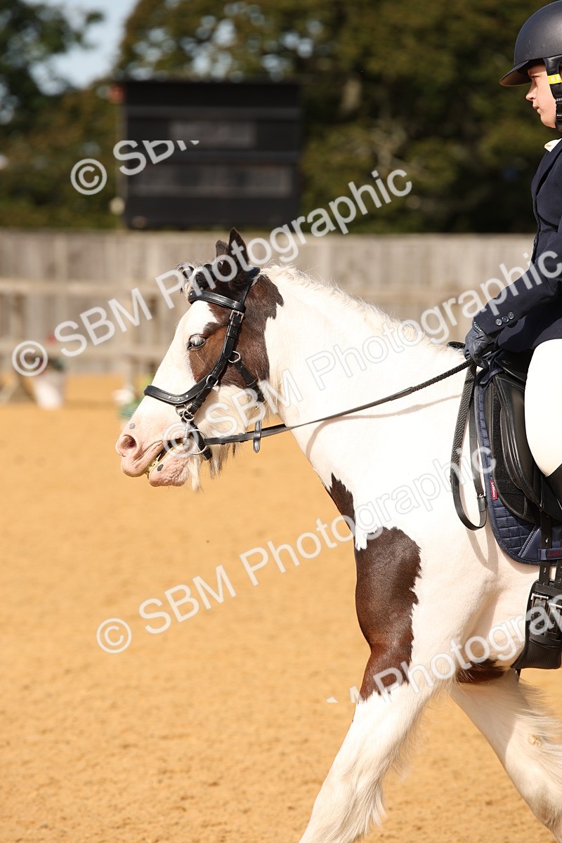 SBM_21783 - D5 - Small Tour Championship - Intro C