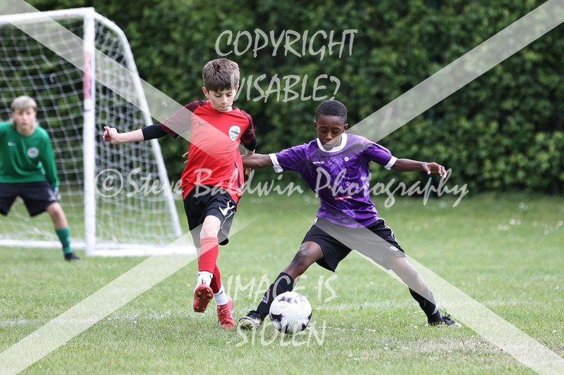 1DX31355 - Brook Field V Goddard Park