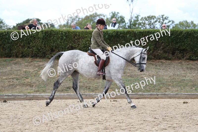 20260831-2717 - Class 16 and 17- Ridden Cob and Hunters