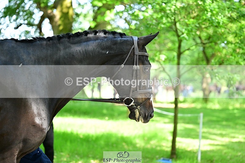260527A-144503-00546 - C-310-Kate.Rocher-Smith