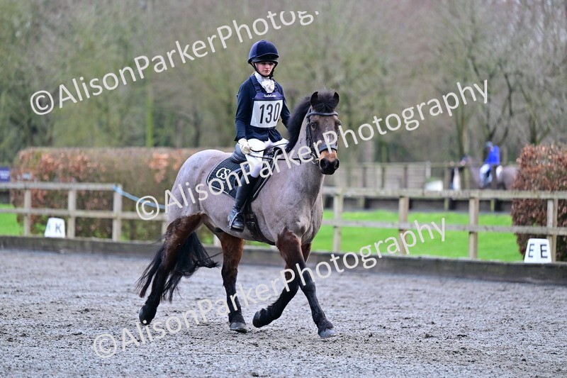 20260125-3598 - Class 12 - Novice