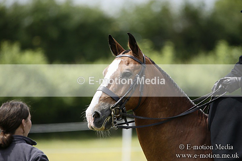 BVR160717-1605 - Side Saddle Classes 16/07/17