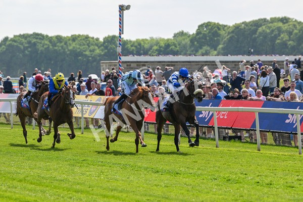 140525-Race 1-Almoshher-1563 - Race 1 2.10pm Sky Bet Race To The Ebor Jorvik Handicap