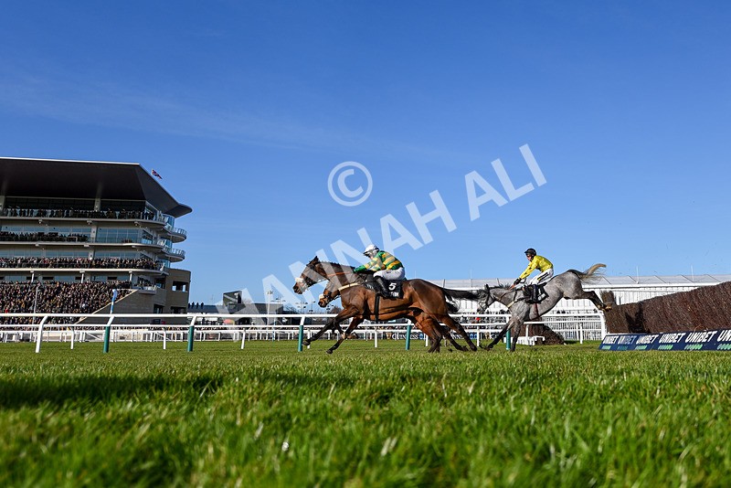 250125-Race 1-Jagwar-0264 - Race 1