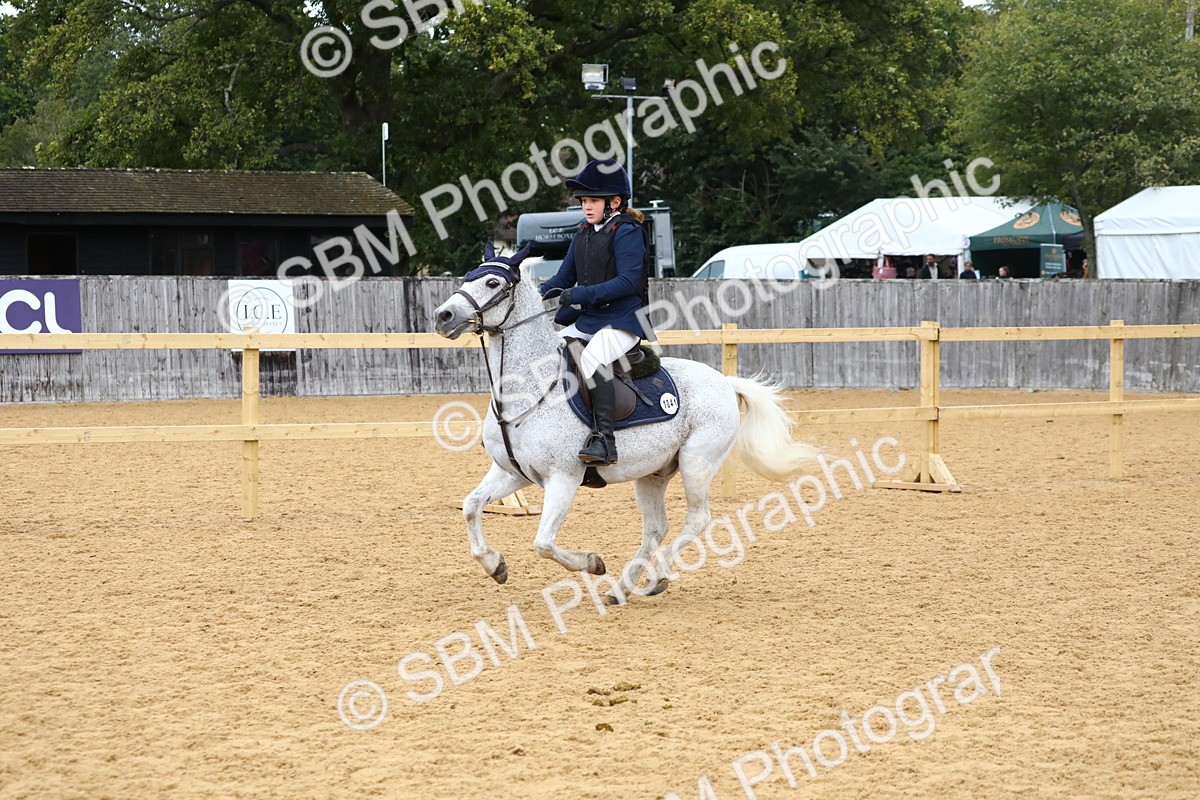SBM_62336 - J64 - Junior Pony 60cm Championship