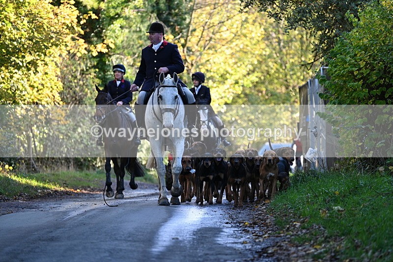 WJ7_8610 - Walk Home