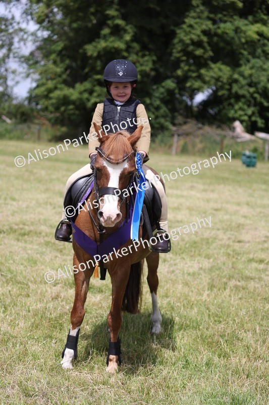 20260614-2136 - Class 21 - Novice Working Hunter Pony