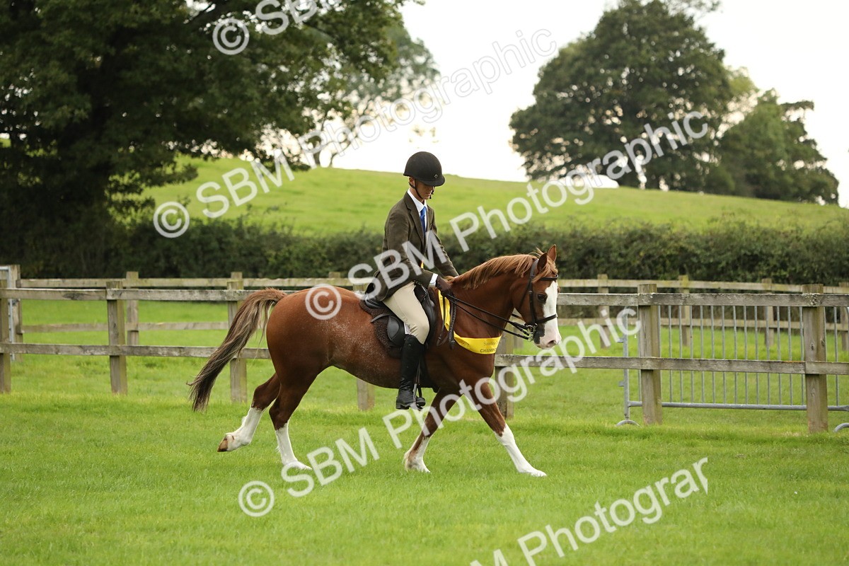 SBM_73884 - S41 - Ridden Equitation (Best Rider)