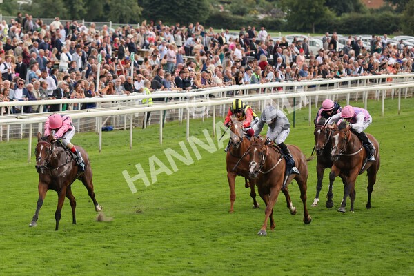 yr19082021r7-12 - Race 7 5.20pm British Stallion Studs EBF Fillies' Stakes