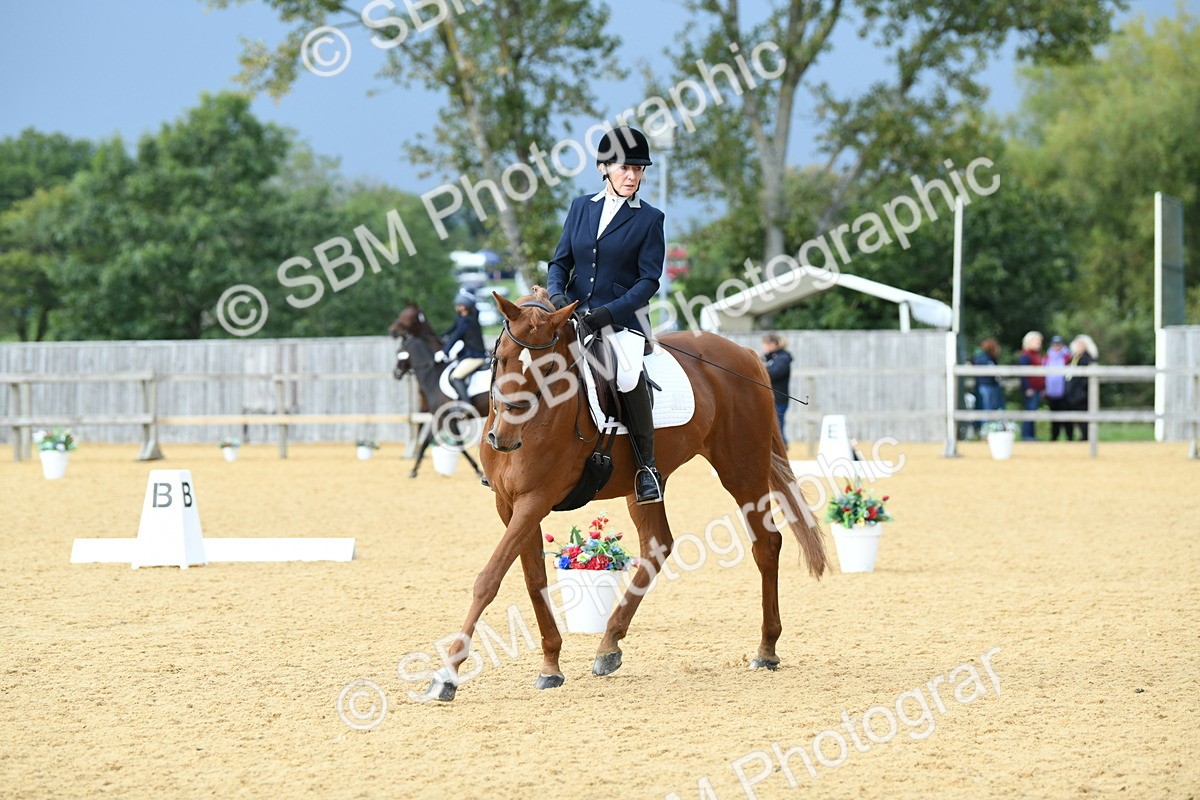 SBM_10999 - D28 Elementary Taster Elementary 42