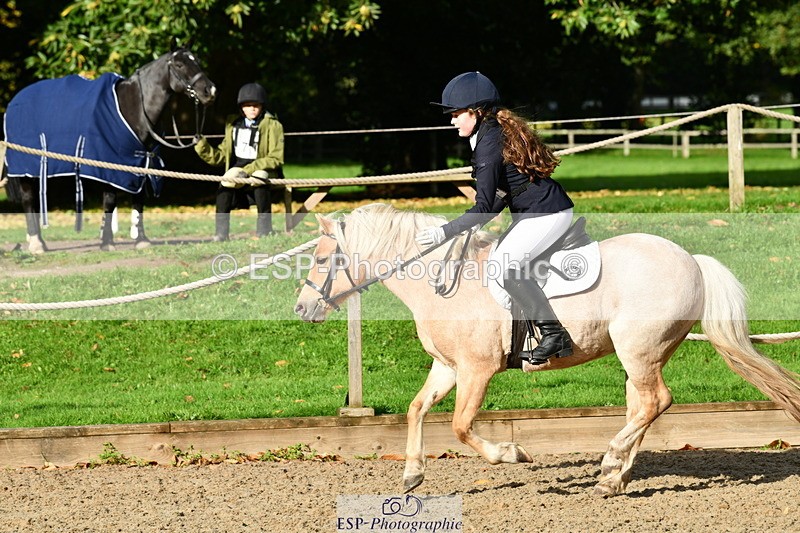 251004A-101348-00406 - Classes 1-2-3 40cm