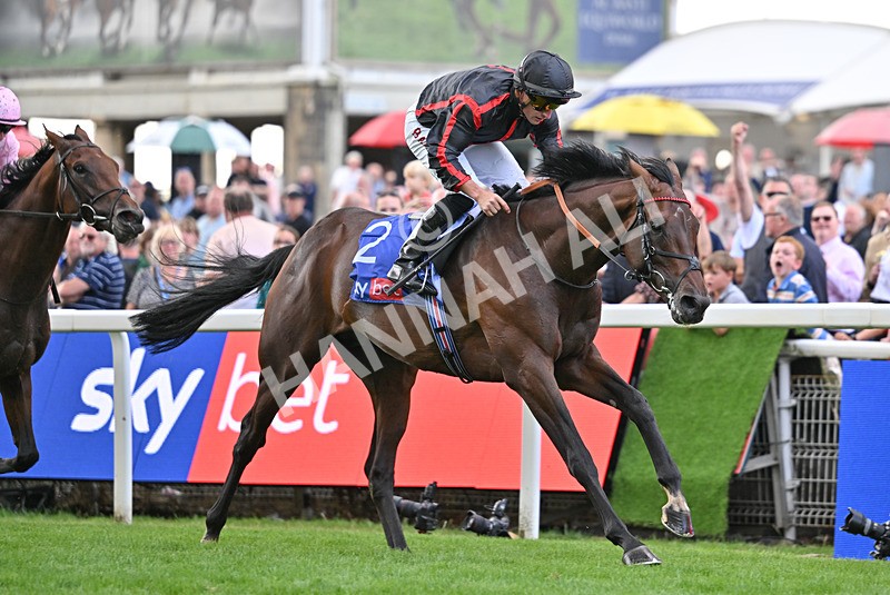 190826-085 Maltese Cross - Race 3 15.00pm Sky Bet Great Voltigeur Stakes