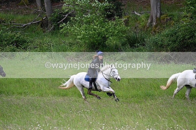 WJ7_8520 - Group 1 10am