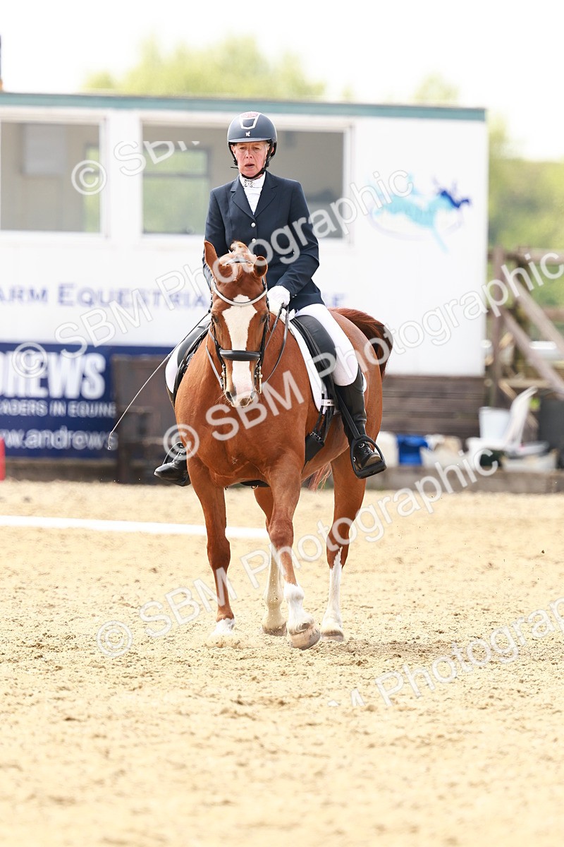 SBM_002876 - Class 12 - Medium 4