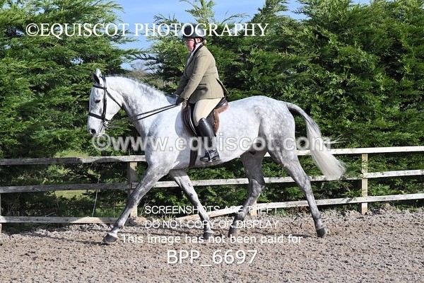 BPP_6697 - RING 1  (RIDDEN HORSES / IN HAND / VETERAN ETC)