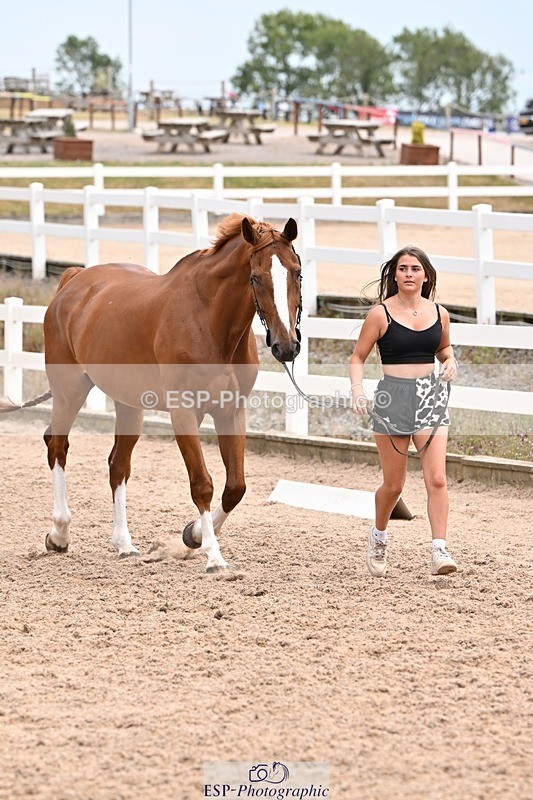 250716-144508-01363 - Trot Up 2.30 to 3.30