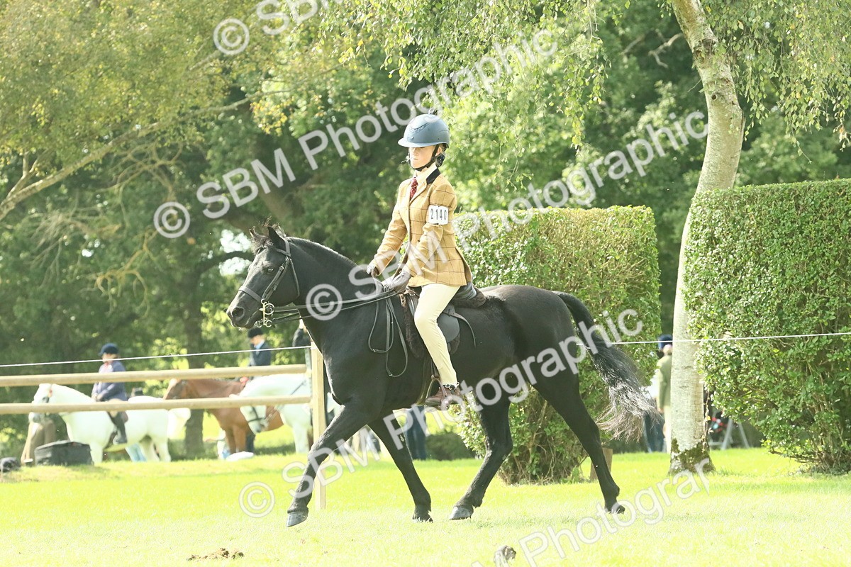 SBM_66510 - S34 - Rehabilitated Rescue Horse & Pony In Hand & Ridden